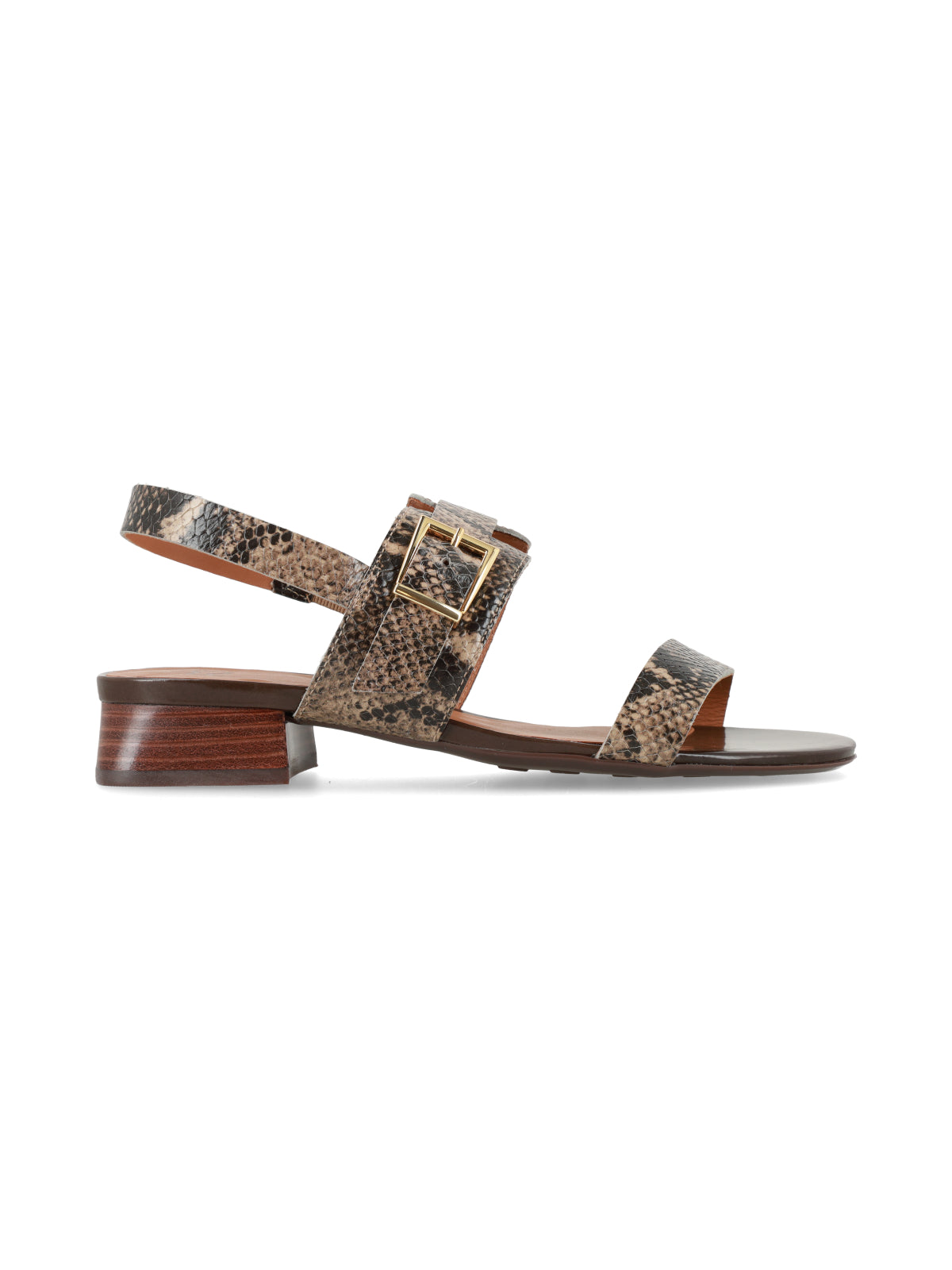 Sandalia Nicoletta Reptil Marron