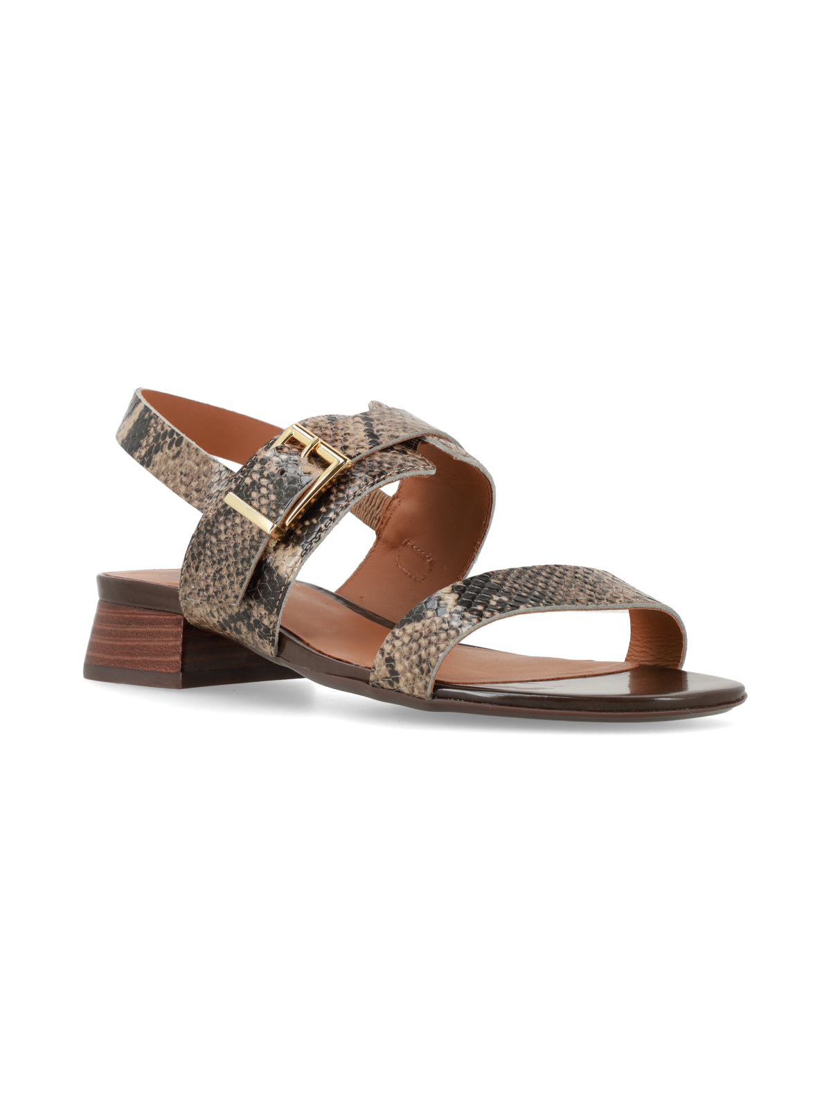 Sandalia Nicoletta Reptil Marron