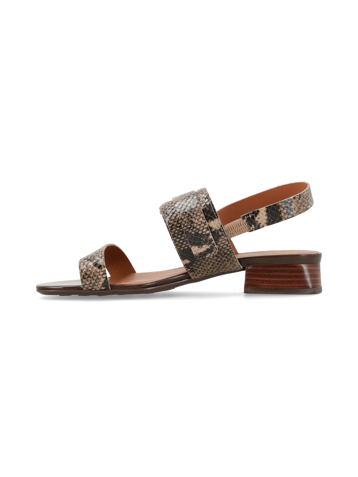 Sandalia Nicoletta Reptil Marron