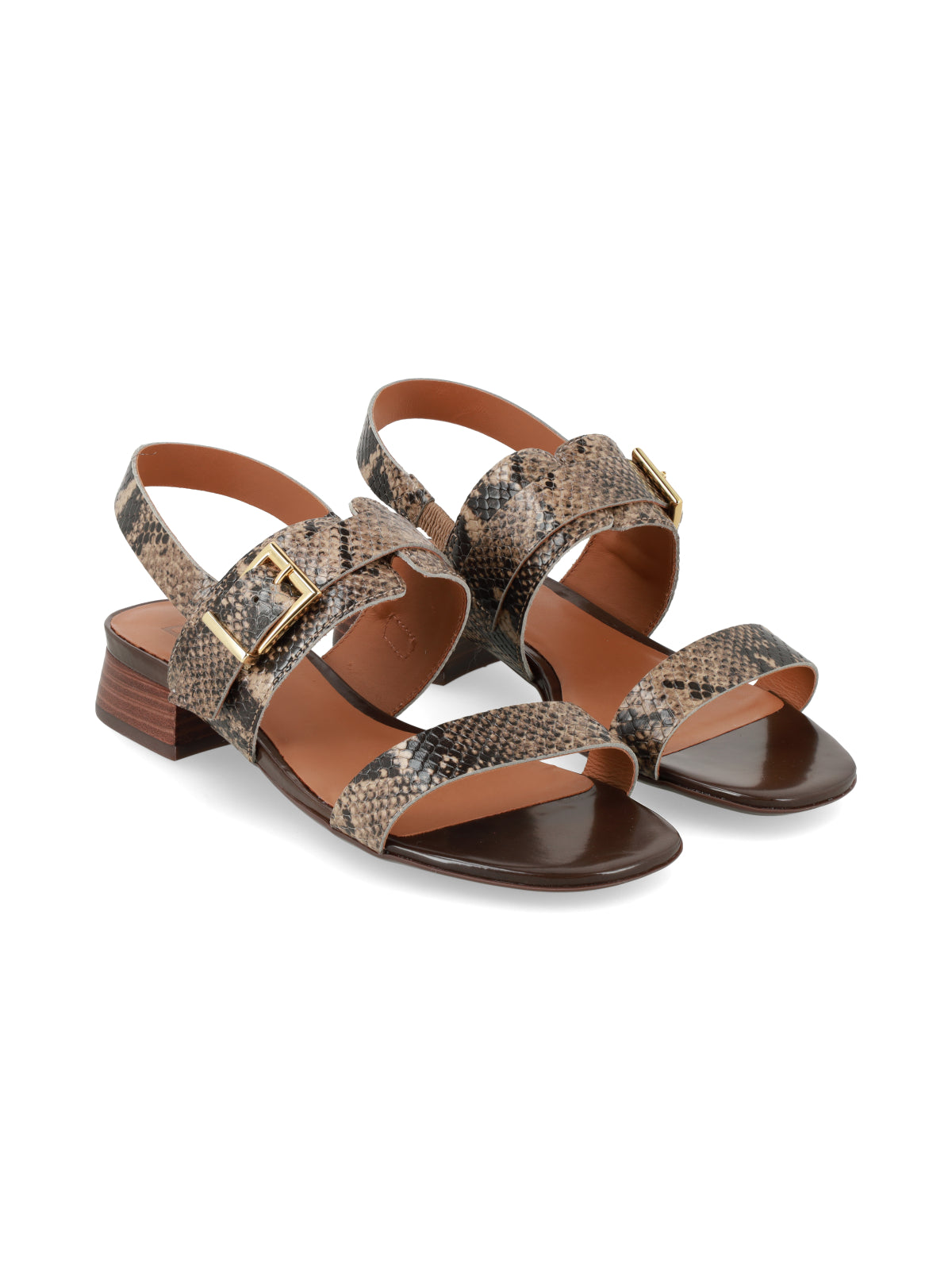 Sandalia Nicoletta Reptil Marron